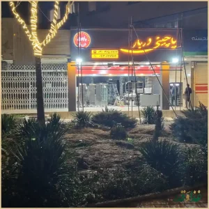 پاچینی دربار