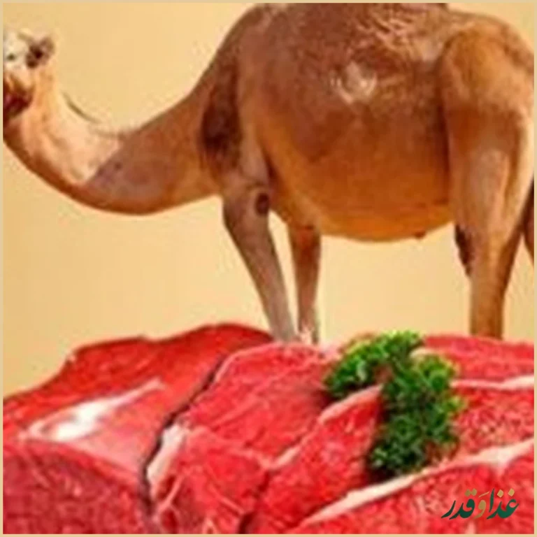 جگرسرای یاسین