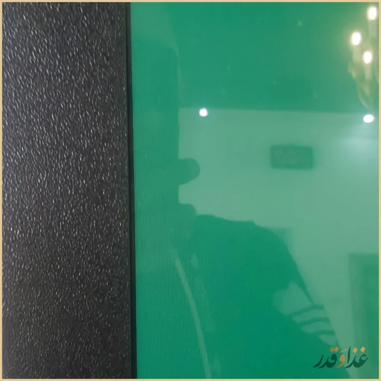 تهیه غذای سعید نایب