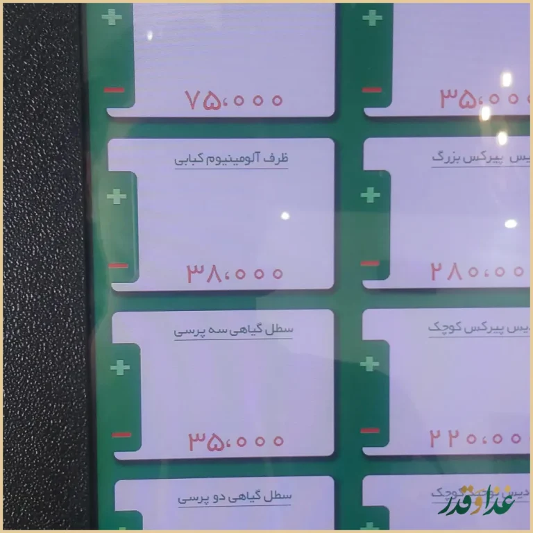 تهیه غذای سعید نایب