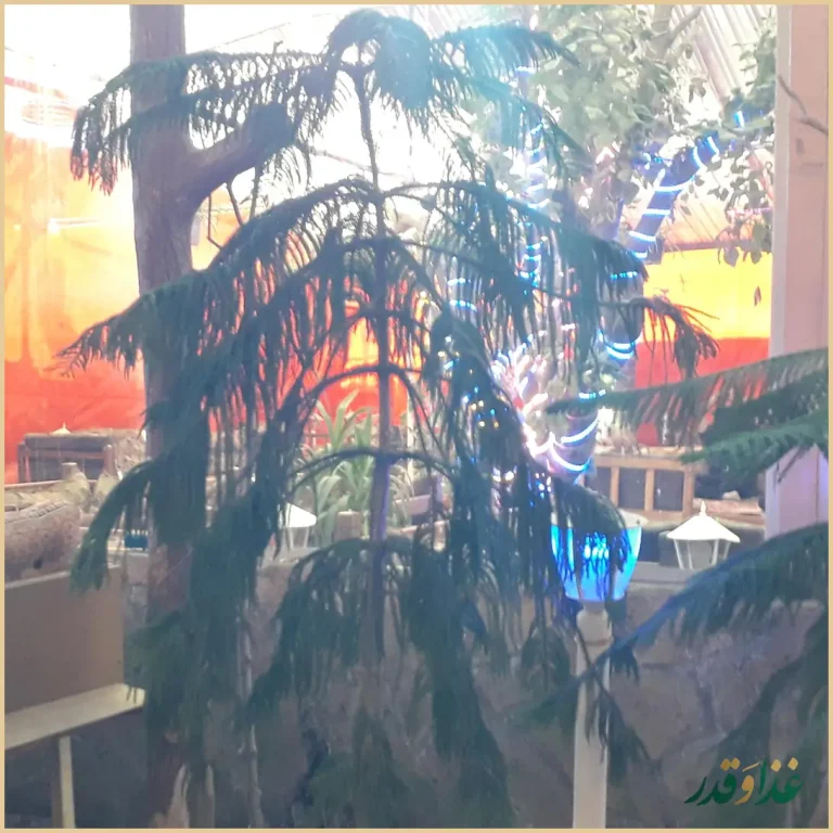 رستوران پدیدار