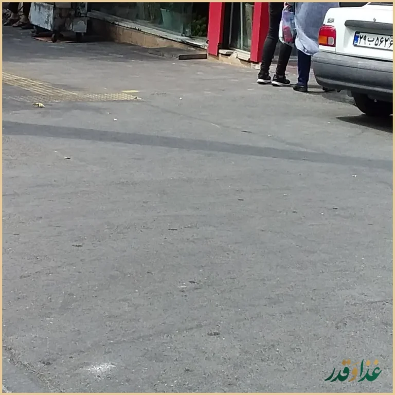 فست فود شانیذ