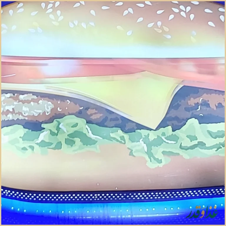 فست فود شانیذ