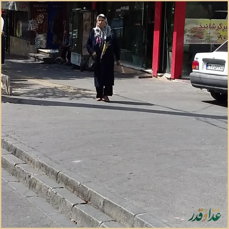 فست فود شانیذ