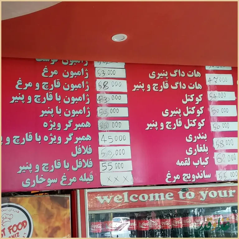 فست فود شانیذ