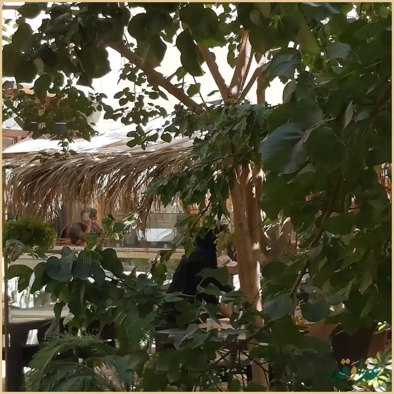 عمارت نخلستان