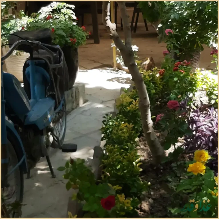 عمارت نخلستان