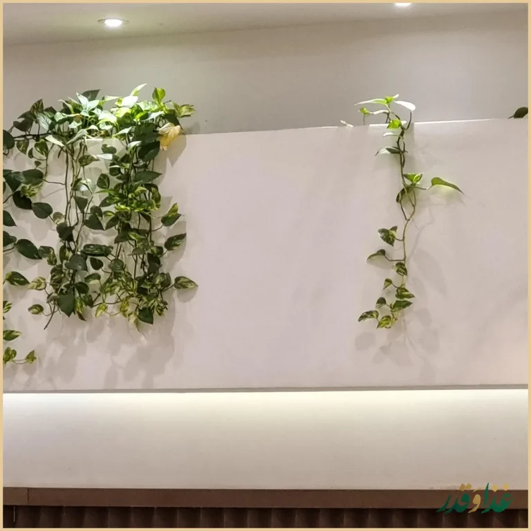 کباب ترکی دیزین ترک