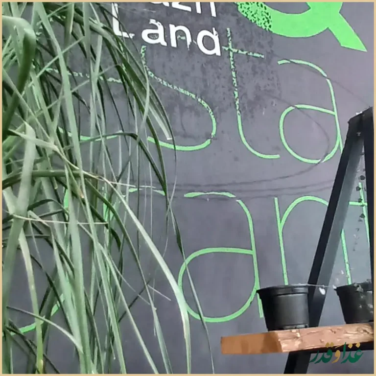 کافه رستوران ناژلند