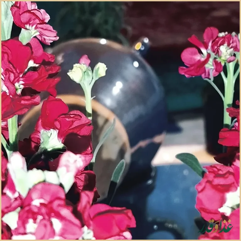 کباب سرای ماربین