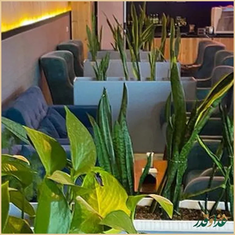 کافه رستوران کسری