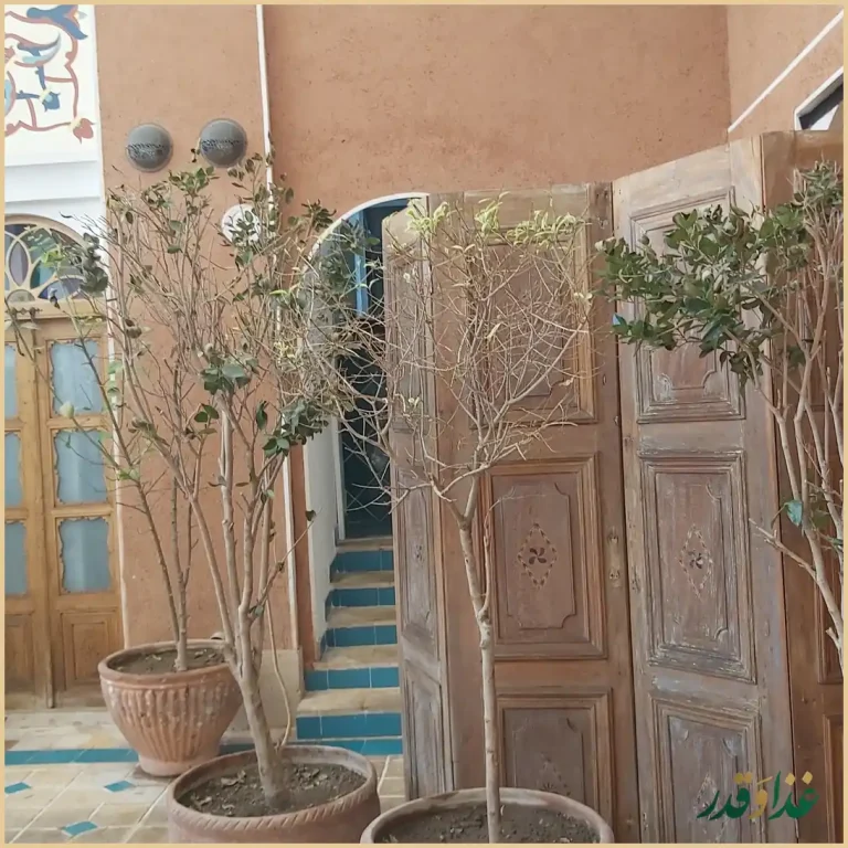 موسیو آراکل