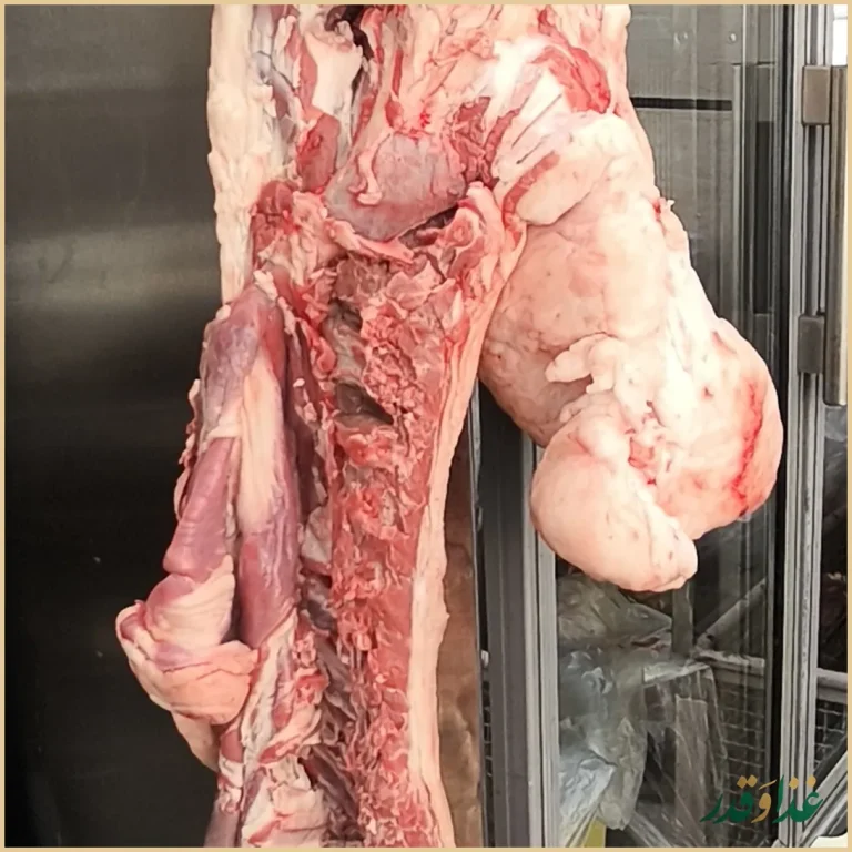 کباب سرای گلپایگان