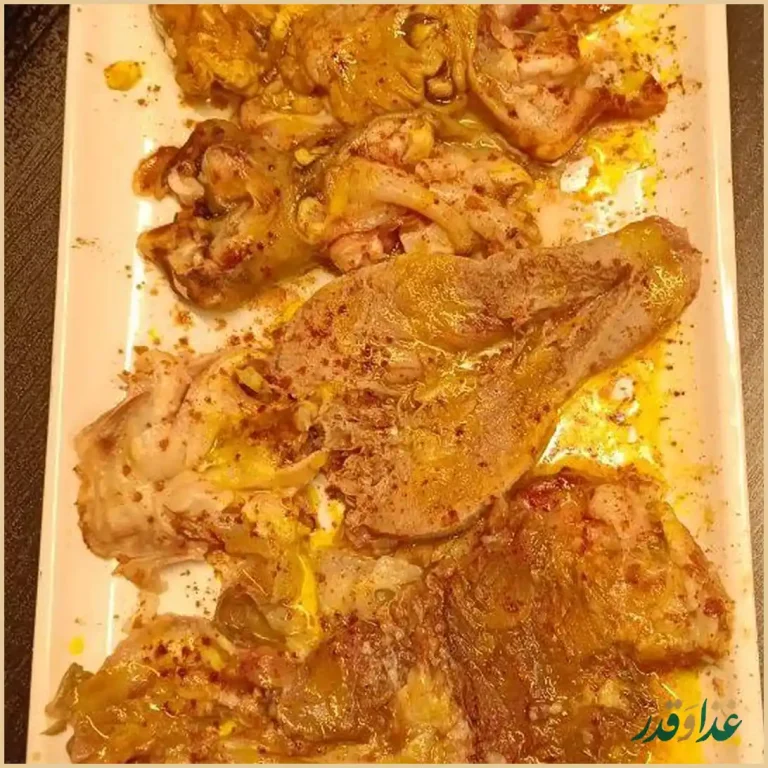 دکترطباخ