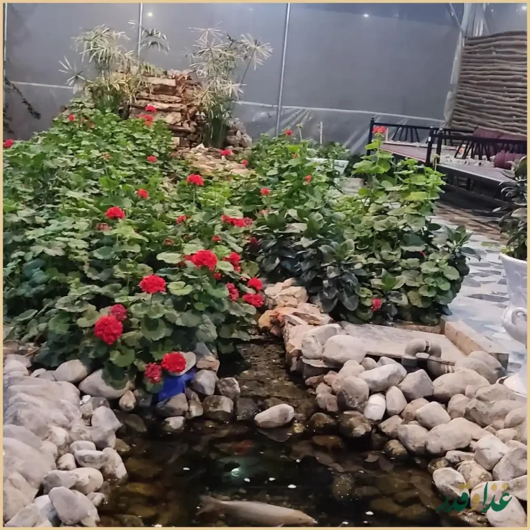 کباب سرای زیتون