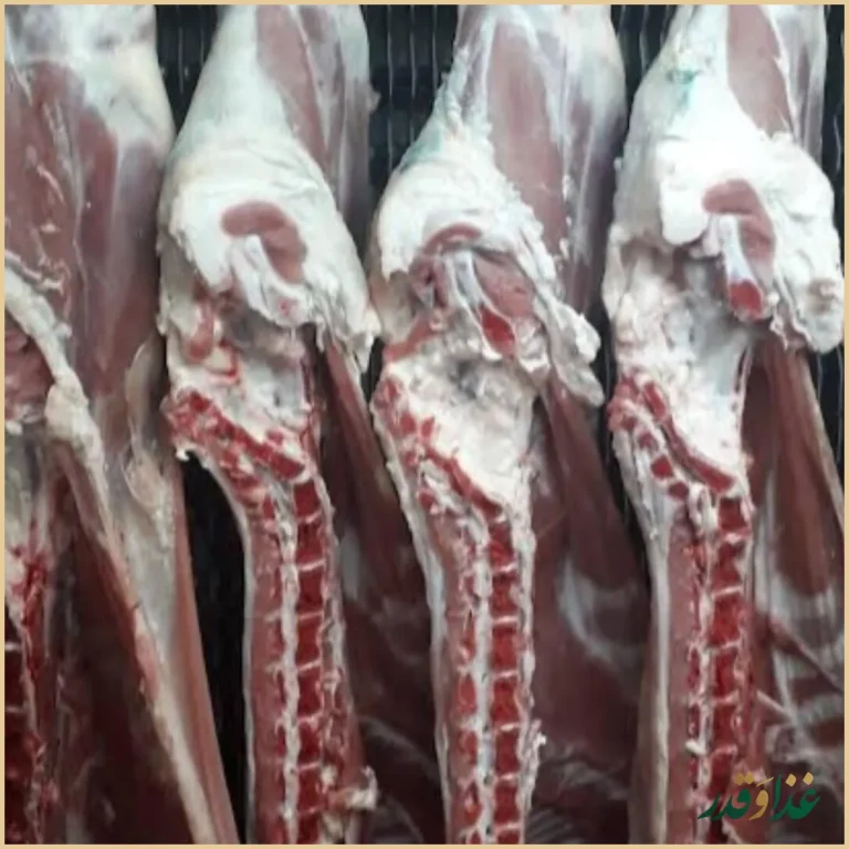 کباب گلپایگانی سعیدی