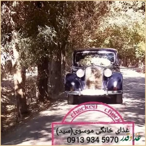 مجموعه غذای خانگی موسوی(سید)