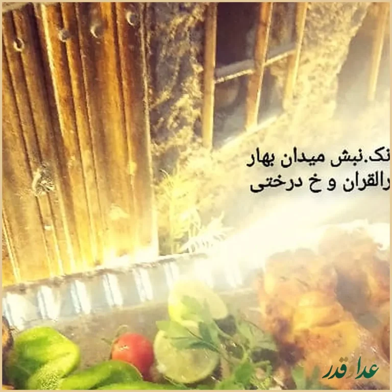 مجموعه غذای خانگی موسوی(سید)