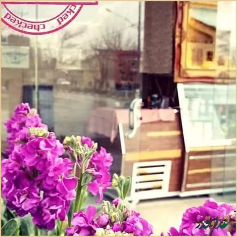 مجموعه غذای خانگی موسوی(سید)