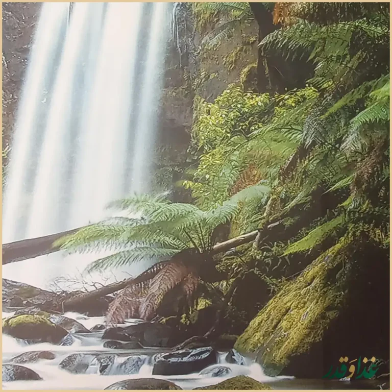 رستوان کافی شاپ سنت سرای گلچین