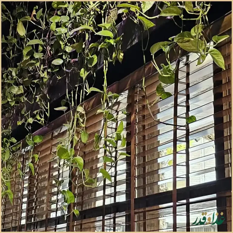 رستوران پیزریا