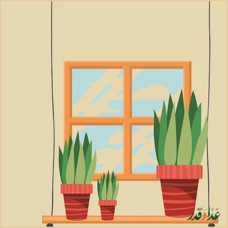 رستوران رضایی