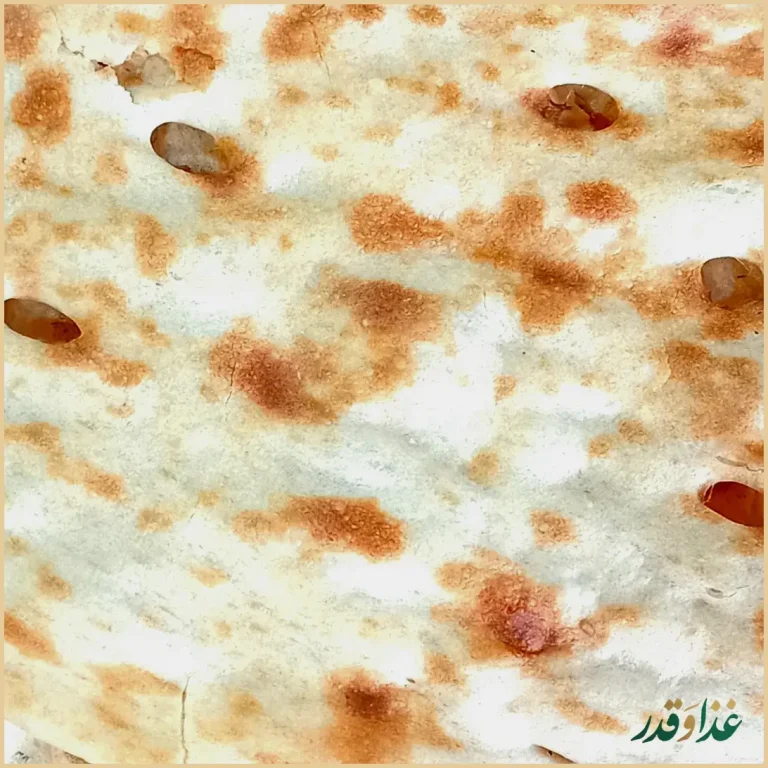 طباخی حقیقت