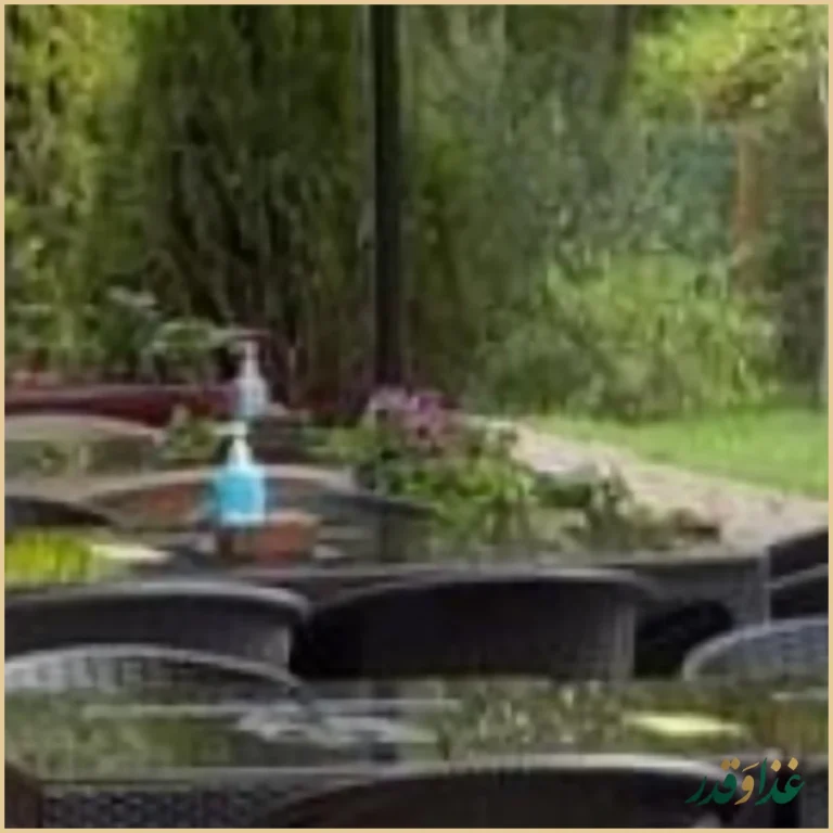 روژ فود فکتوری