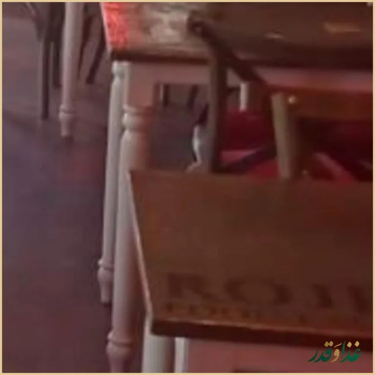 روژ فود فکتوری