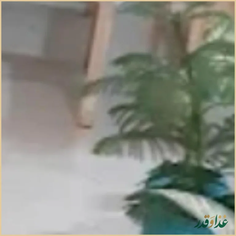 فست‌فود متین