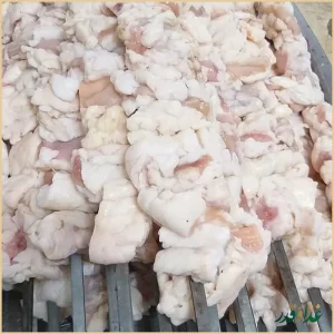 کباب سرای رشتی مشتی