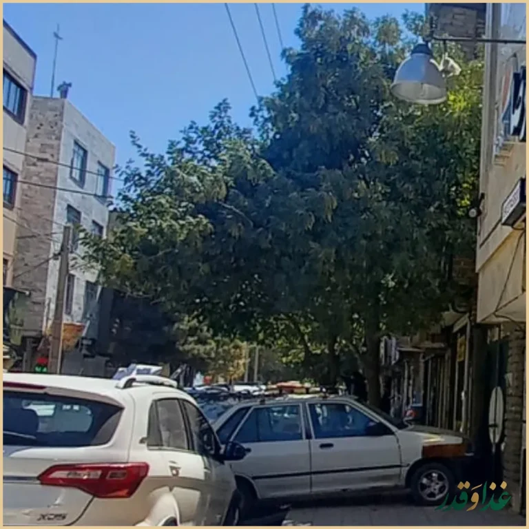 آشپزخانه و غذای آماده رضا