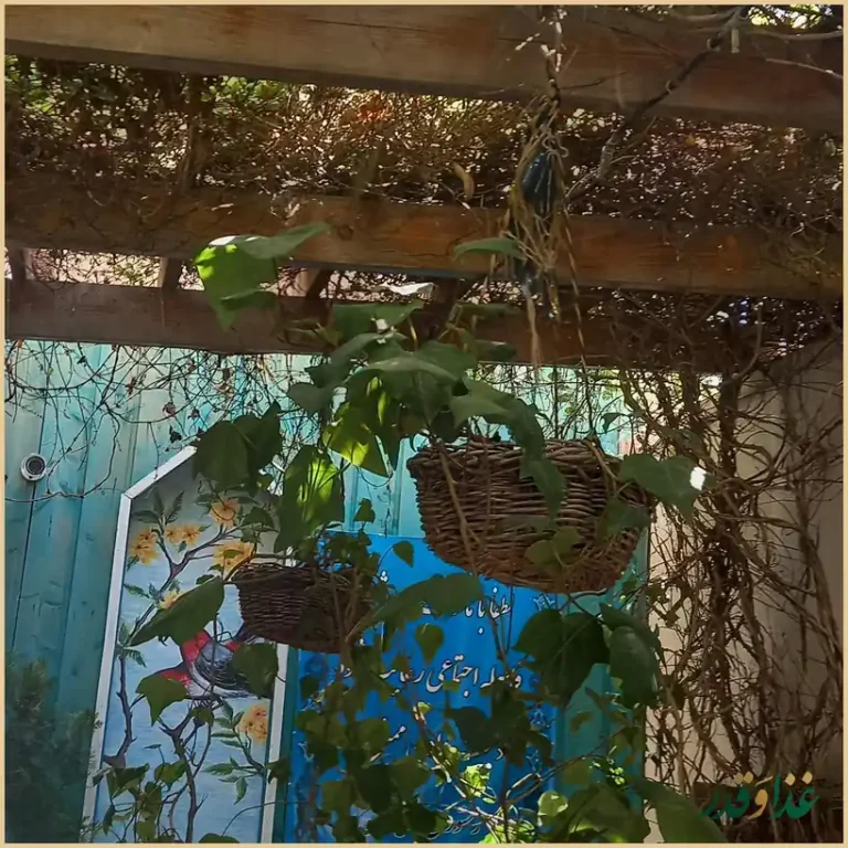 کافه رستوران لیلو . LiLo