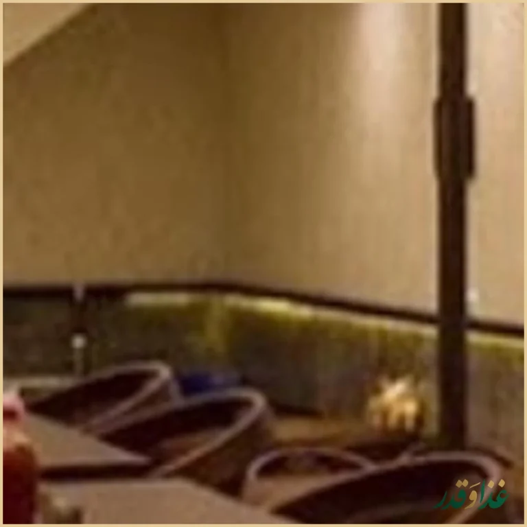 ساندویچ ونک