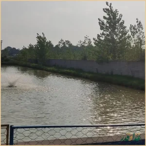 رستوران و قلیان سرای دایی عباس