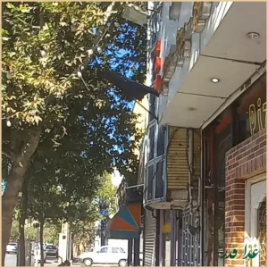 فست فود ناب فود