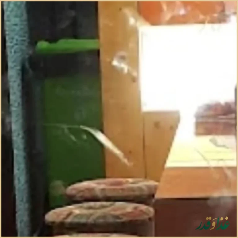 اژدر زاپاتا