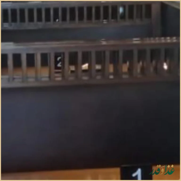 پیتزا شبدیز