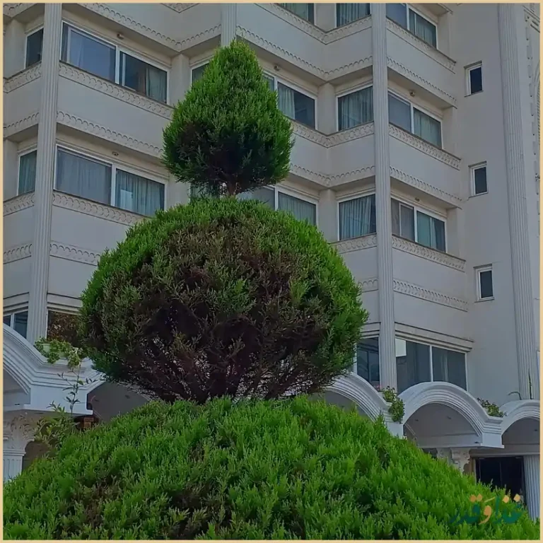 رستوران شکم الملوک