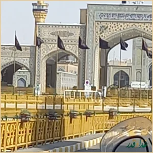 فست فود زیتون لبنان