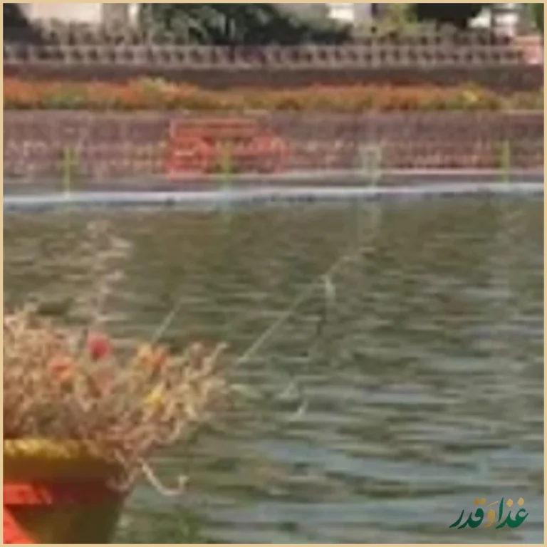 رستوران کوهسنگی