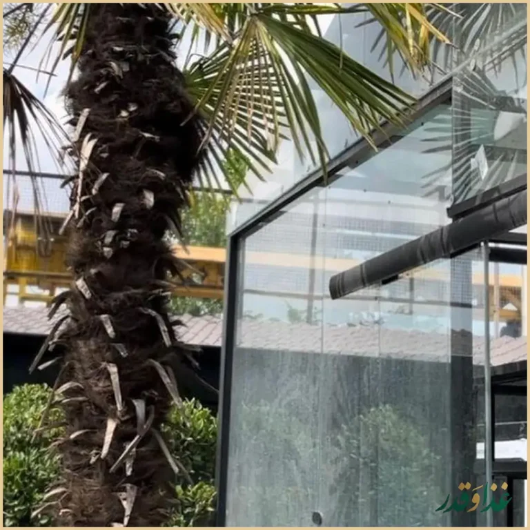 باغچه رستوران نهال