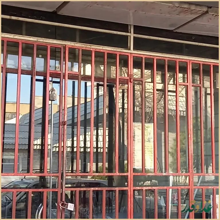 مرغ کنتاکی بزرگمهر