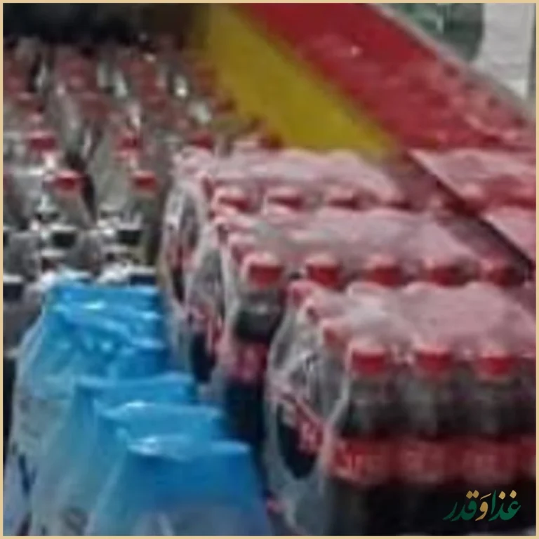 مرغ بریان احسان کوثر