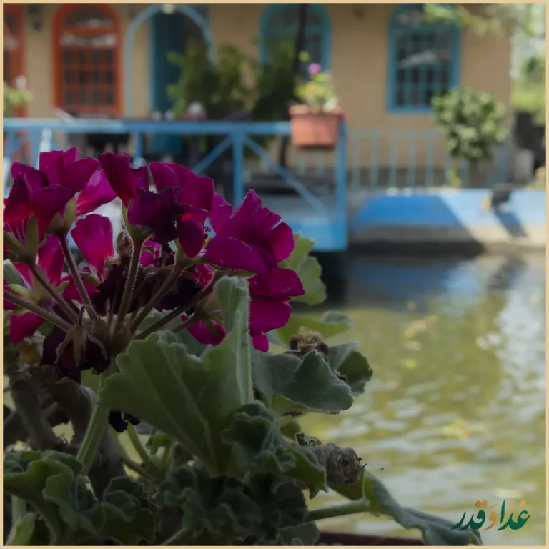 رستوران کولمه