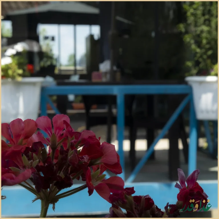 رستوران کولمه