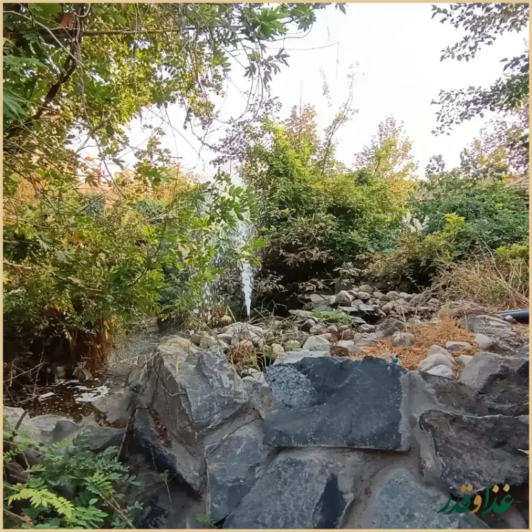 رستوران سدروس