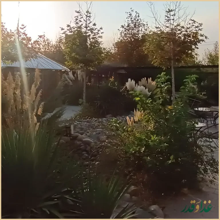 رستوران سدروس