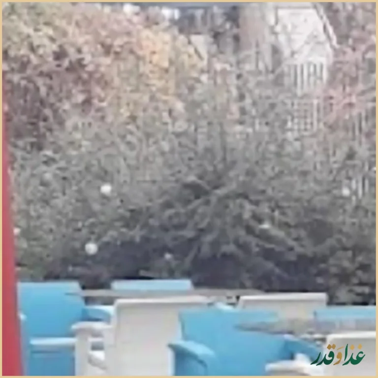 رستوران پدیده شاندیز شعبه سعدآباد