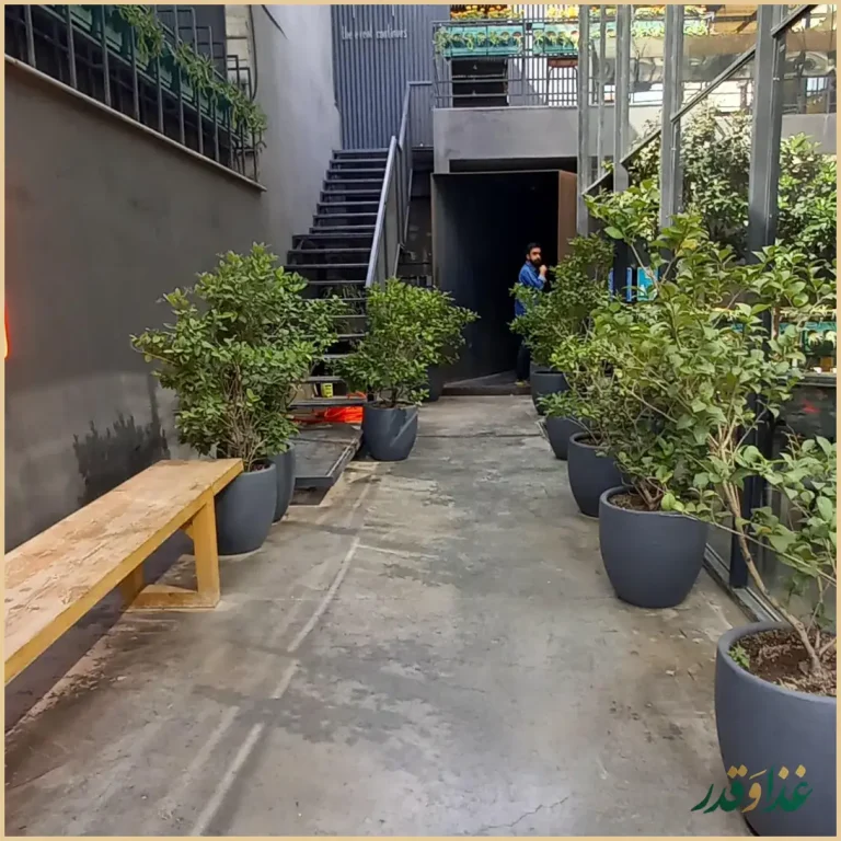 کافه رستوران اپیزود